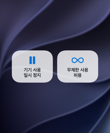 기기 사용 일시 정지 및 무제한 사용 허용 버튼을 보여주는 화면.